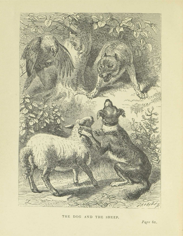 The Dog And The Sheep