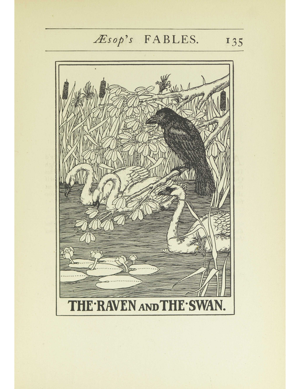 The Raven And The Swan