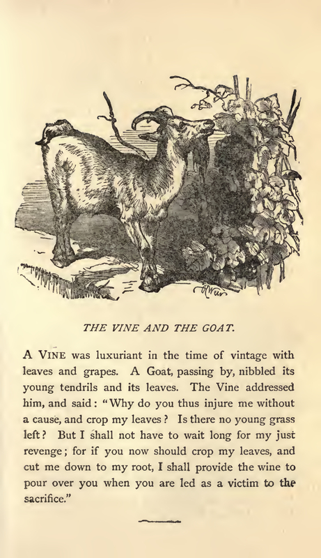 THE VINE AND THE GOAT