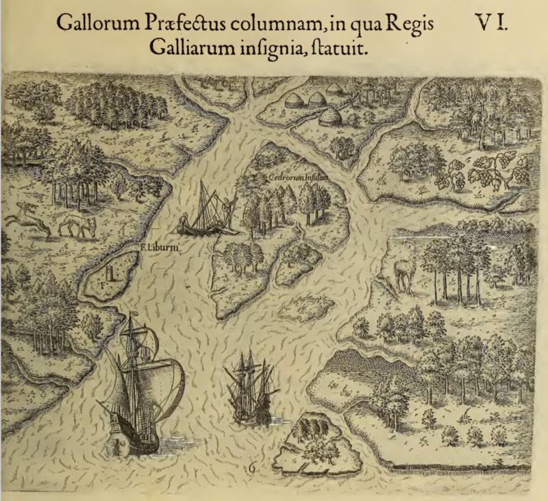 Gallorum Praefectus columnam, in qua Regis Galliarum insignia, statuit. VI.