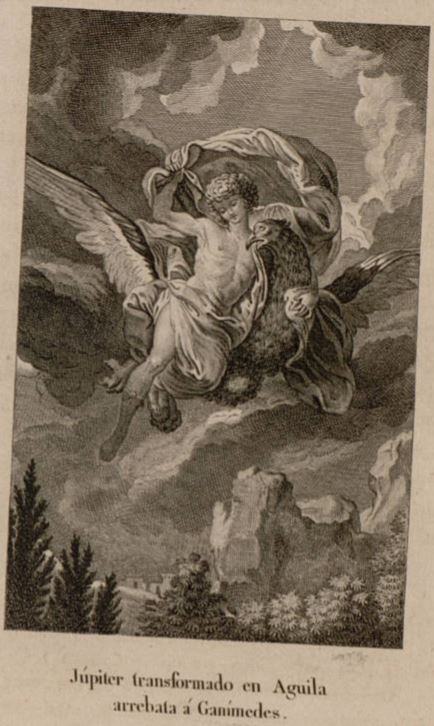 Jupiter transformado en Aguila arrebata a Gammedes