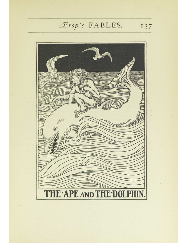 The Ape And The Dolphin