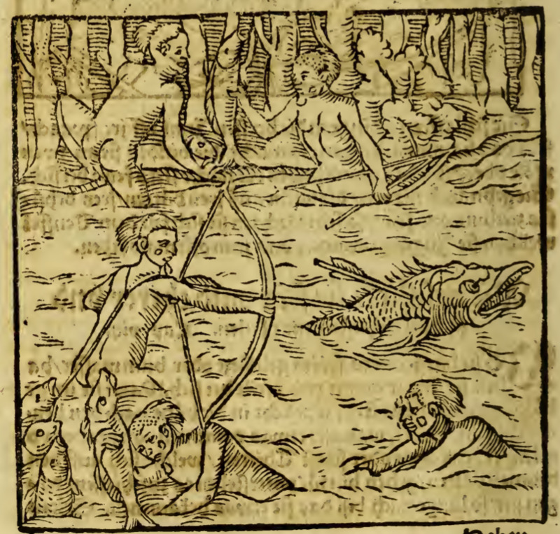 [Tupinambá people fish with bow and arrow]