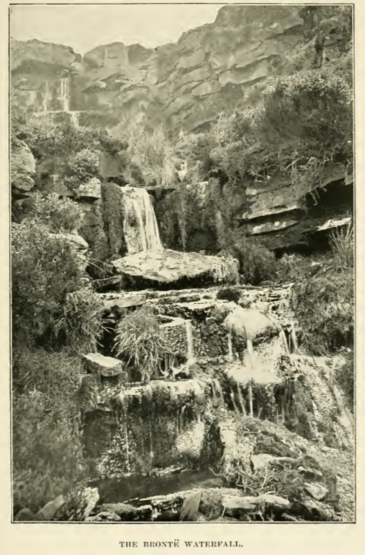 The Bronte Waterfall