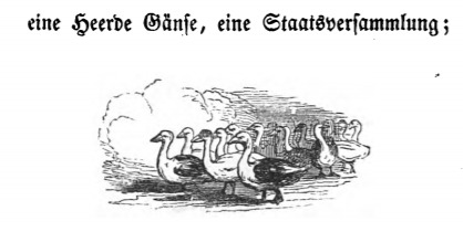 Eine Heerde Gänse, eine Staatsversammlung