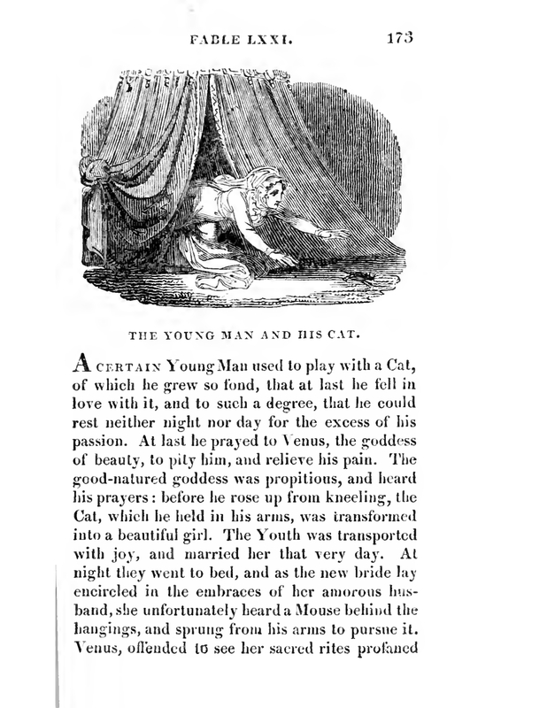 The Young Man and His Cat