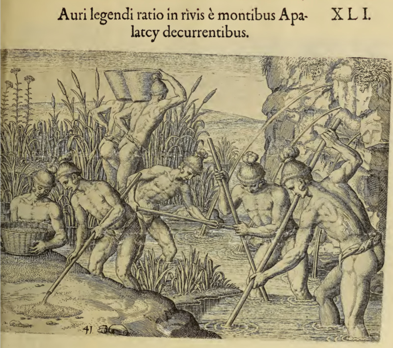 Auri legendi ratio in rivis è montibus Apalatcy decurrentibus. XLI.