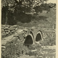 mta_24824_OBJ.png