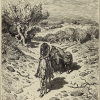 mta_22243_OBJ.jpg