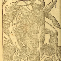 mta_22855_OBJ.png