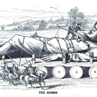 mta_21939_OBJ.png