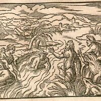 mta_21938_OBJ.jpg