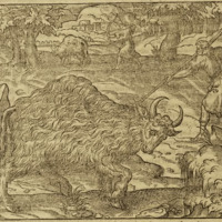 mta_23528_OBJ.png