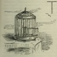 mta_22419_OBJ.jpg