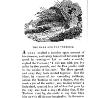 mta_27723_OBJ.jpg
